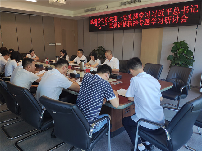 no398-成南公司機(jī)關(guān)第一黨支部召開學(xué)習(xí)貫徹習(xí)近平總書記“七一”重要講話精神專題研討會.jpg